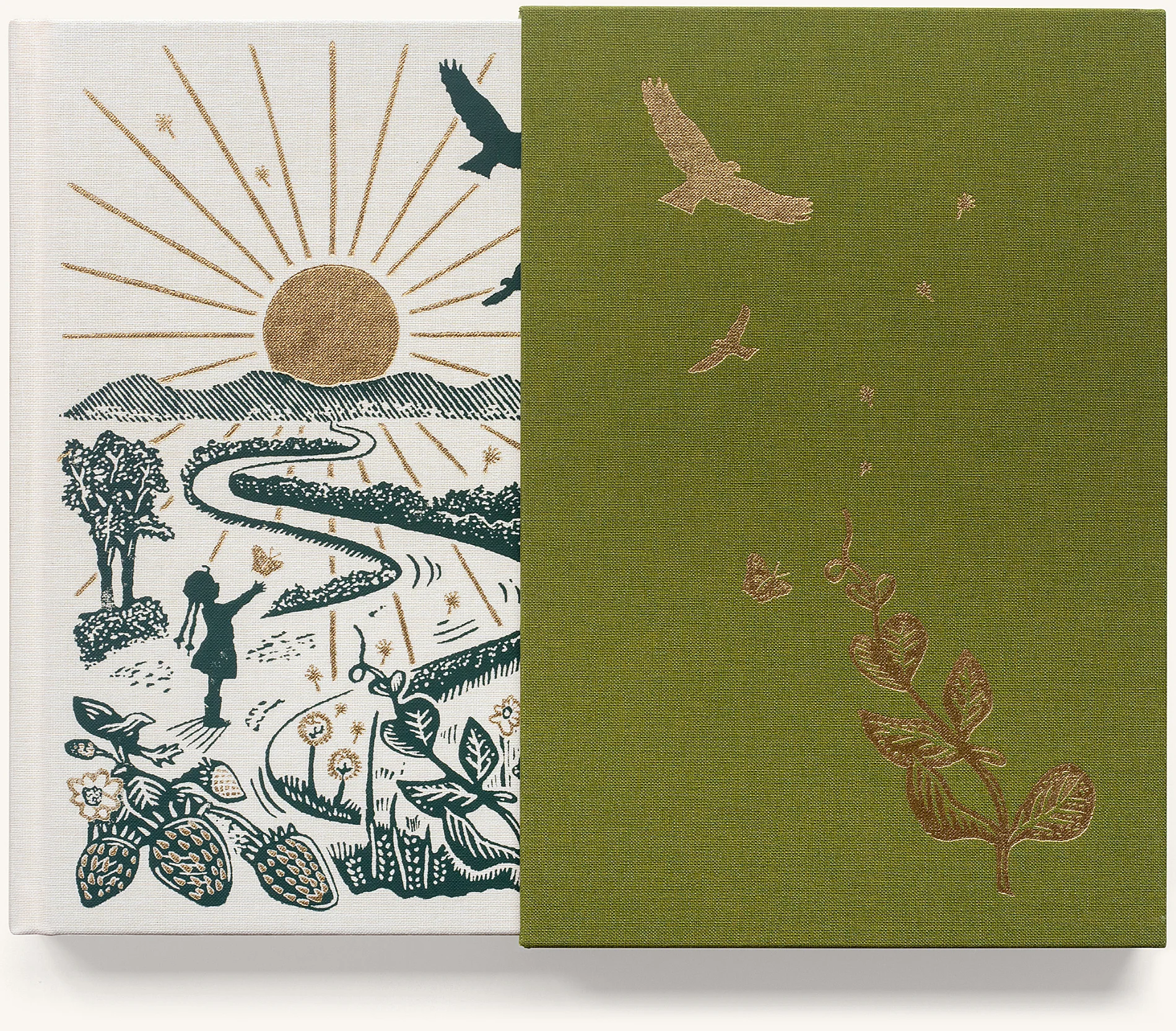 Down Burrow Lane book skipcase